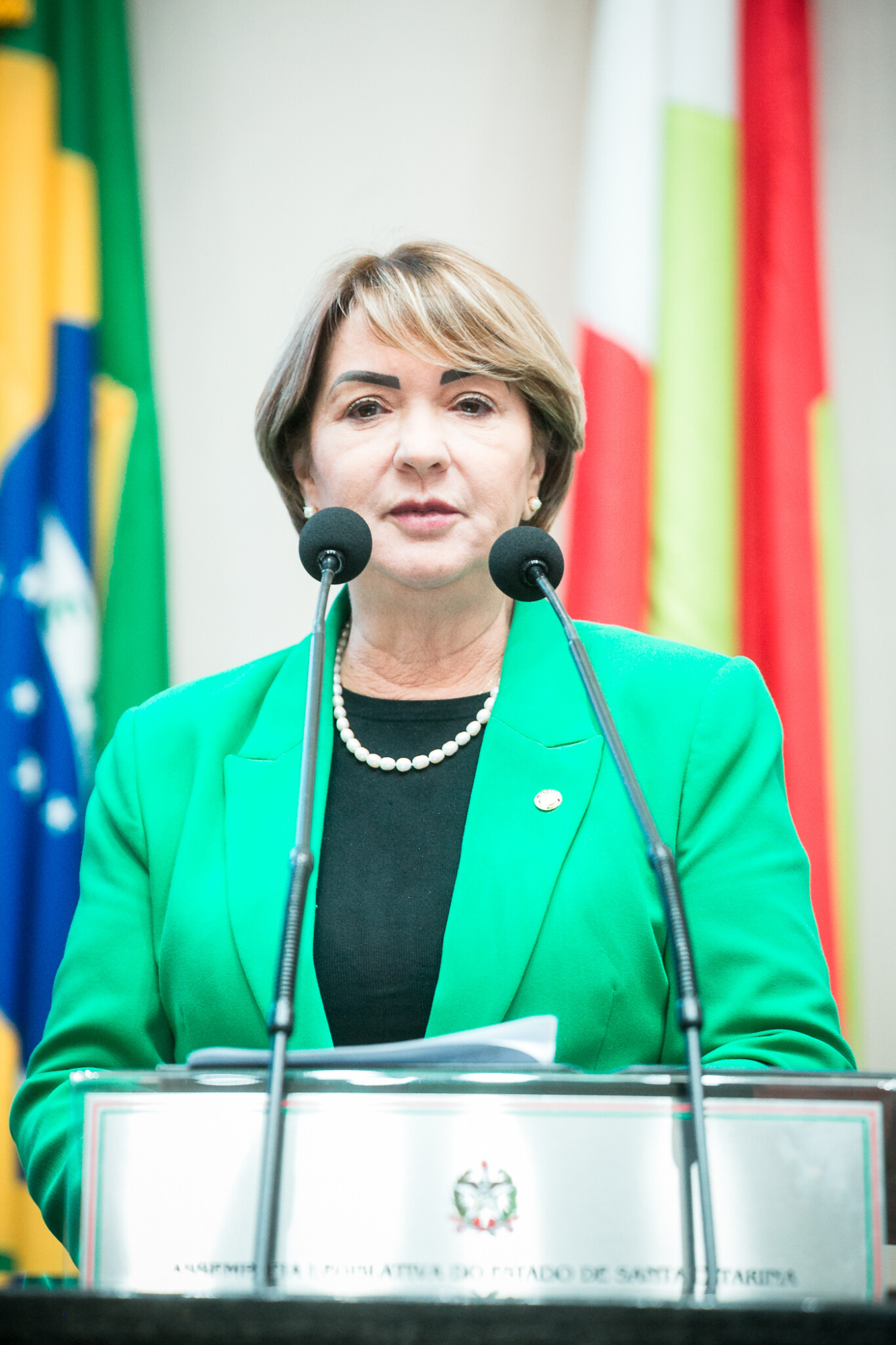 -Deputada Janice Krasniak(Podemos)