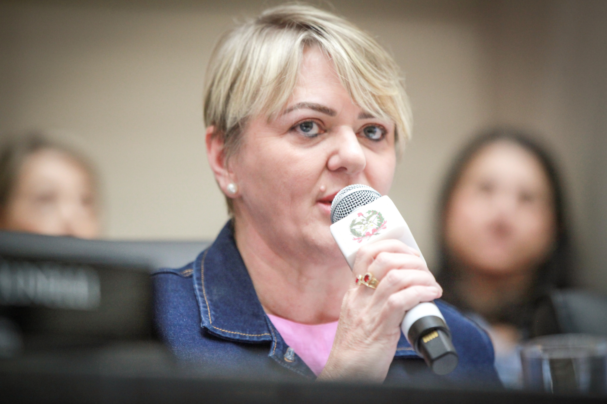- Deputada Luciane Carminatti (PT)