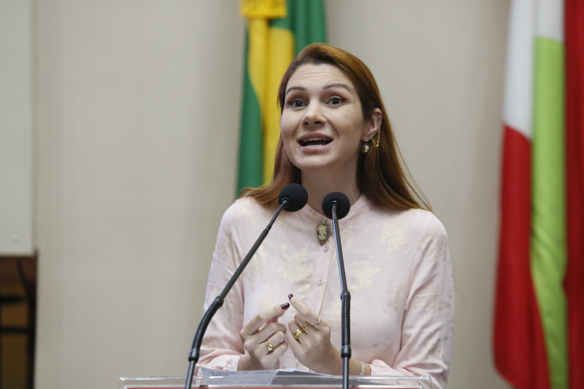 - Deputada Ana Caroline Campagnolo (PL)