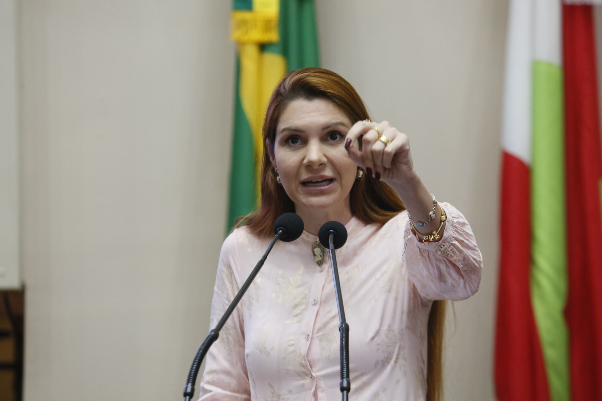 - Deputada Ana Caroline Campagnolo (PL)