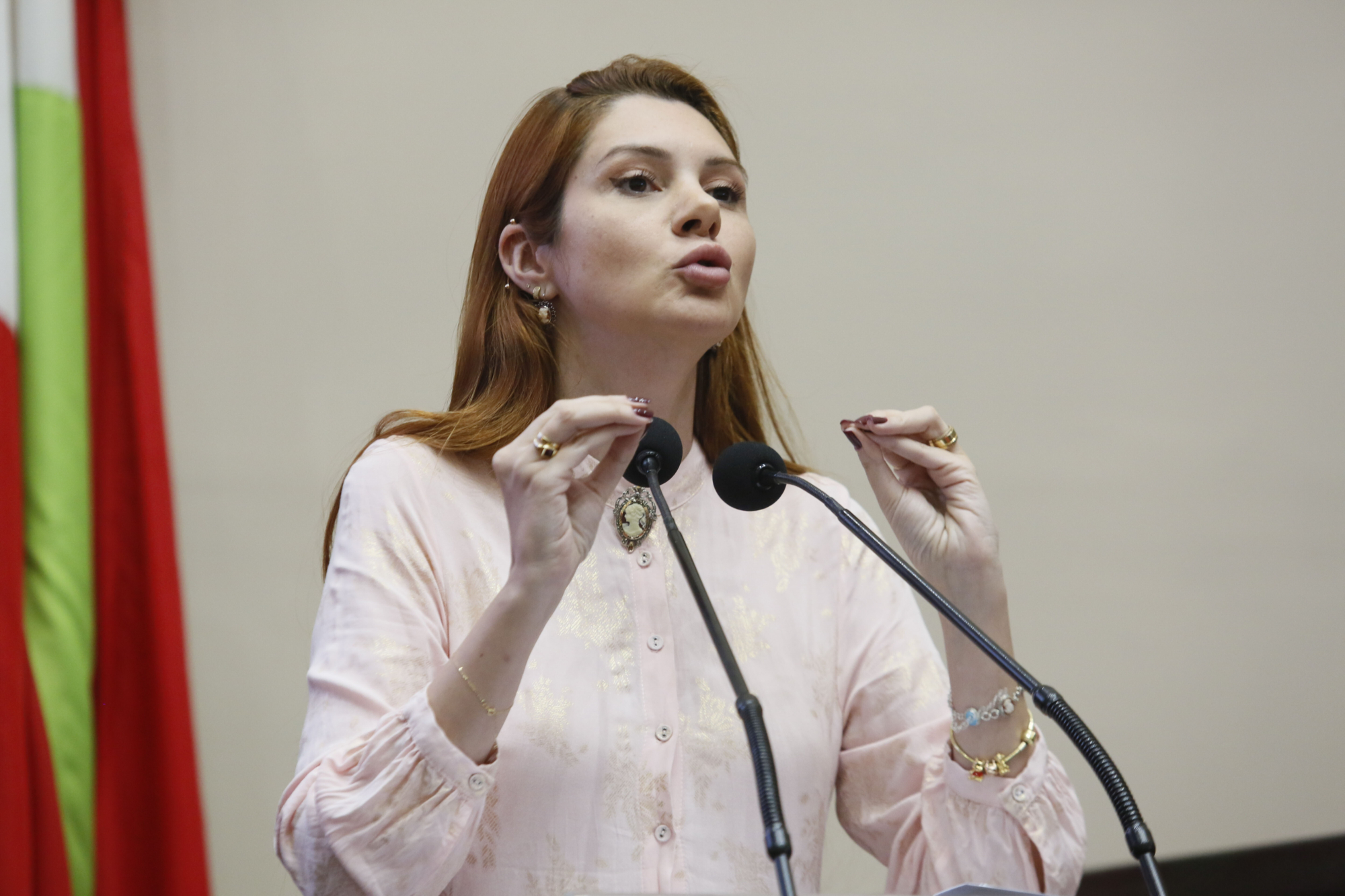 - Deputada Ana Caroline Campagnolo (PL)