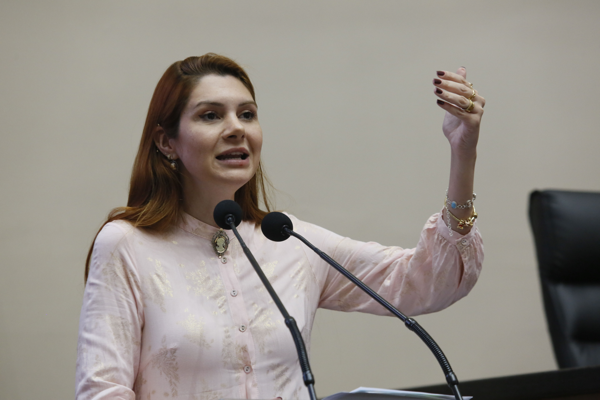 - Deputada Ana Caroline Campagnolo (PL)