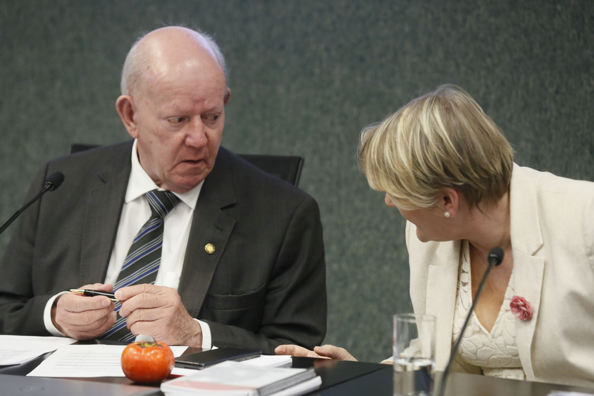 - Deputado Marcos Vieira (PSDB)
 - Deputada Luciane Carminatti (PT)