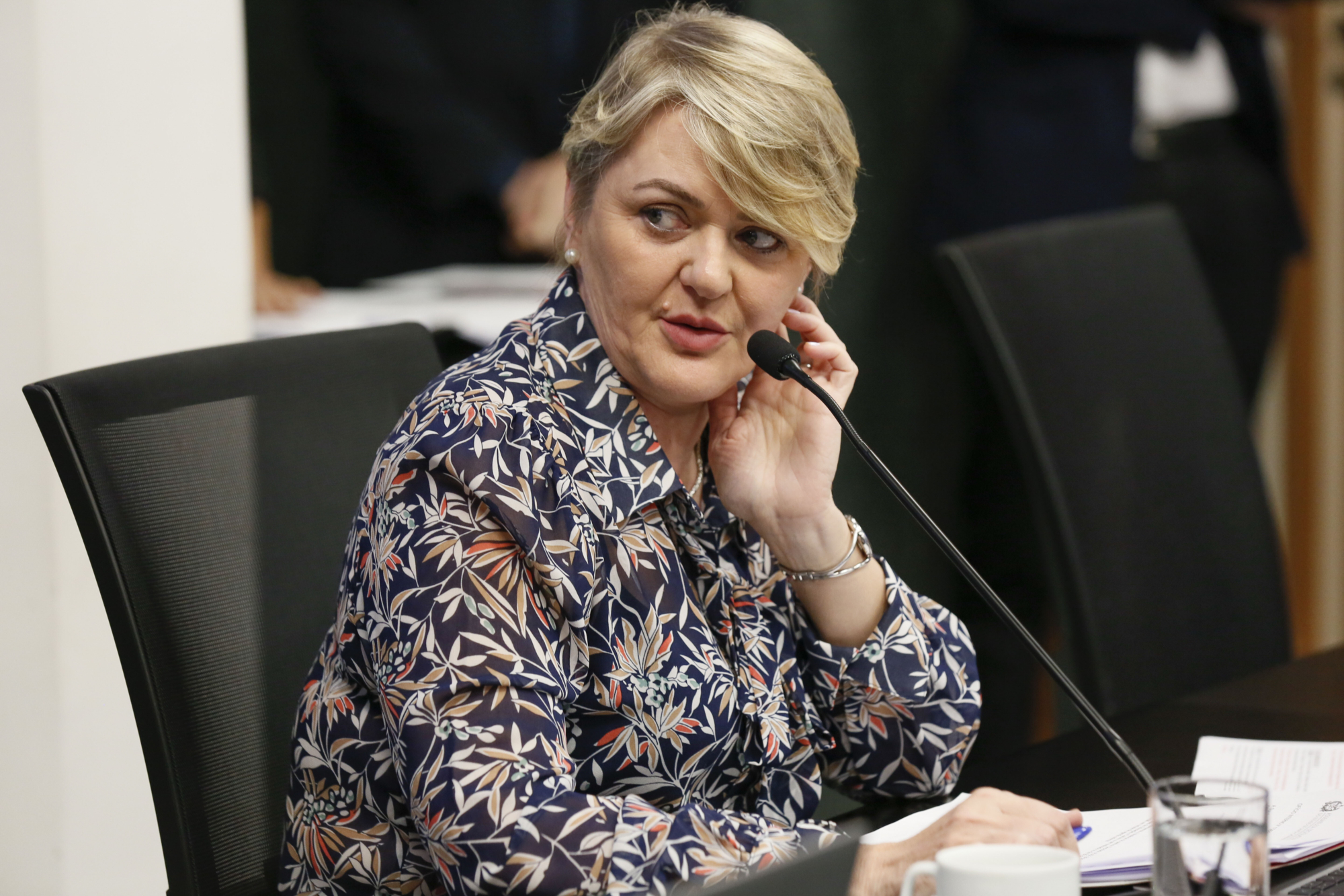 - Deputada Luciane Carminatti (PT)