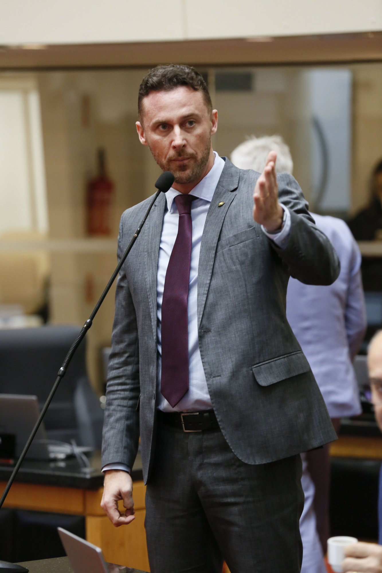 - Deputado Fernando Krelling (MDB)