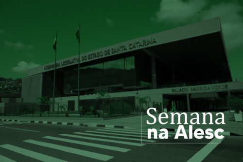 Semana na Alesc aborda educação para indígenas, causa animal e inteligência artificial