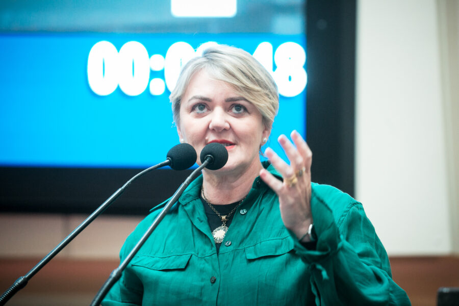 Deputada Luciane Carminatti