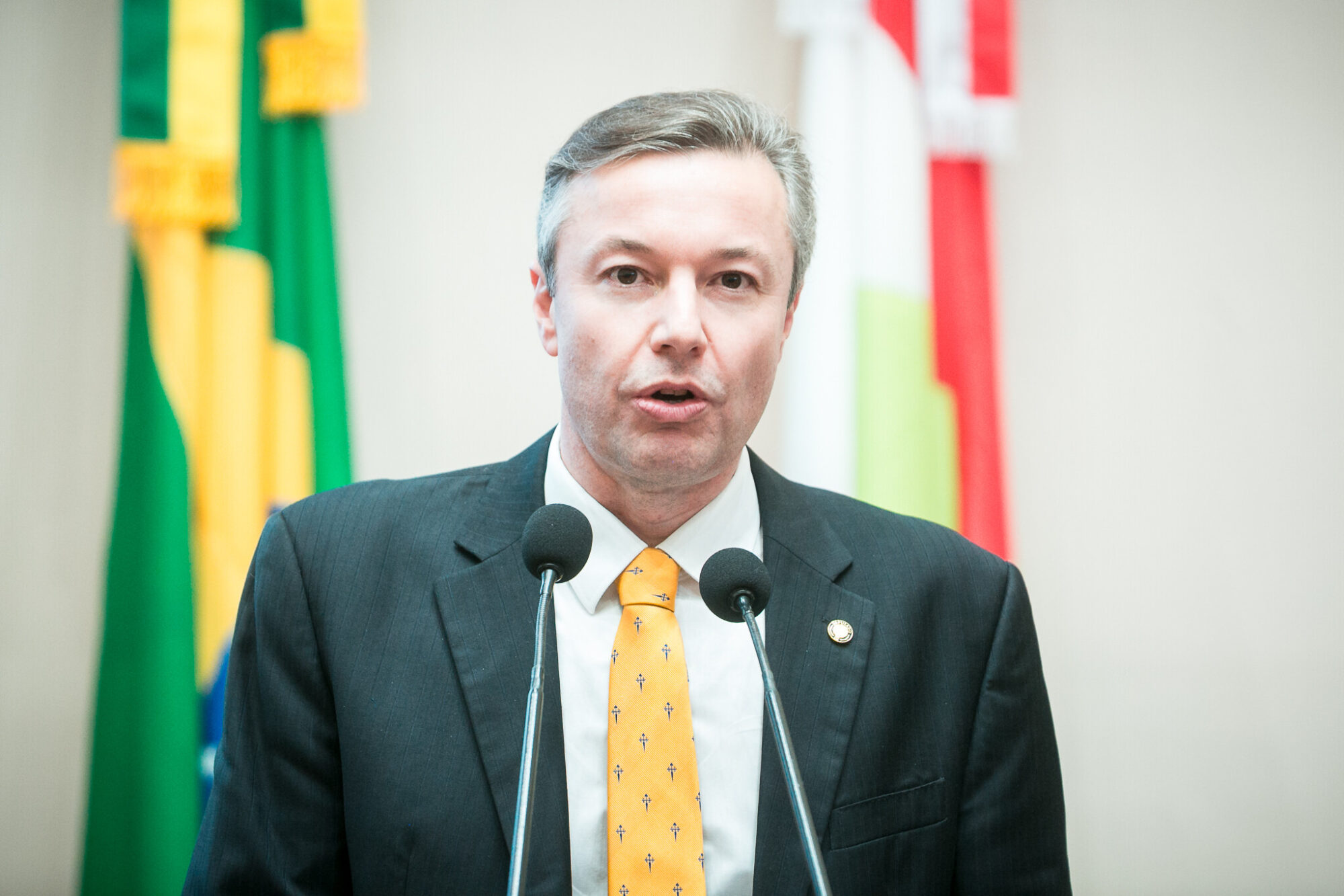 - Deputado Napoleão Bernardes (PSD)