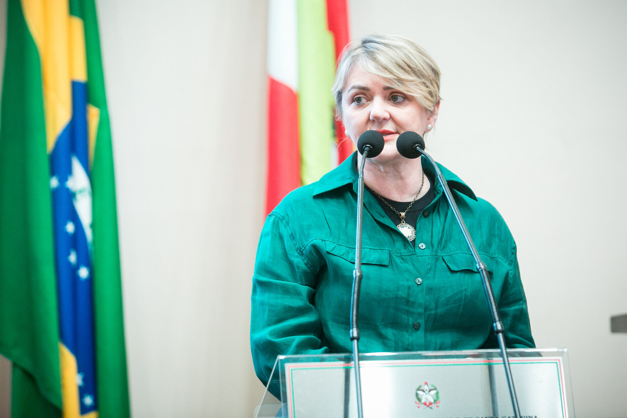 - Deputada Luciane Carminatti (PT)