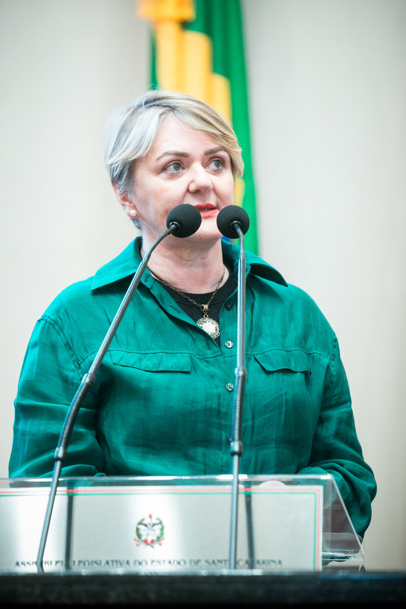 - Deputada Luciane Carminatti (PT)