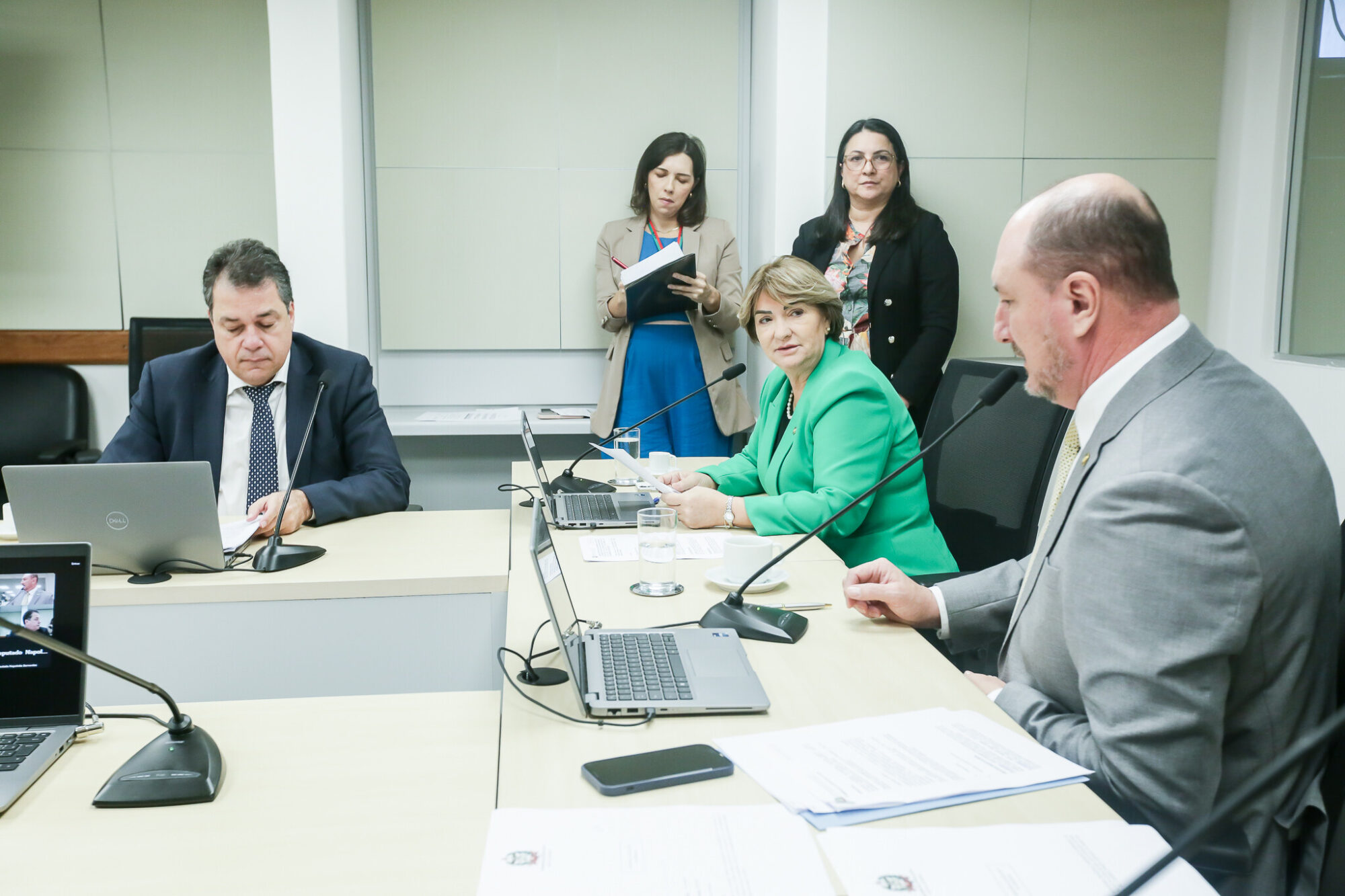 - Deputado Rodrigo Minotto (PDT) 	
-Deputada Janice Krasniak(Podemos)
 - Deputado Mauro de Nadal (MDB)
