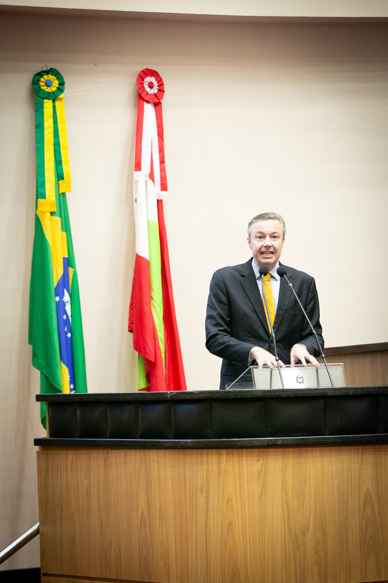- Deputado Napoleão Bernardes (PSD)