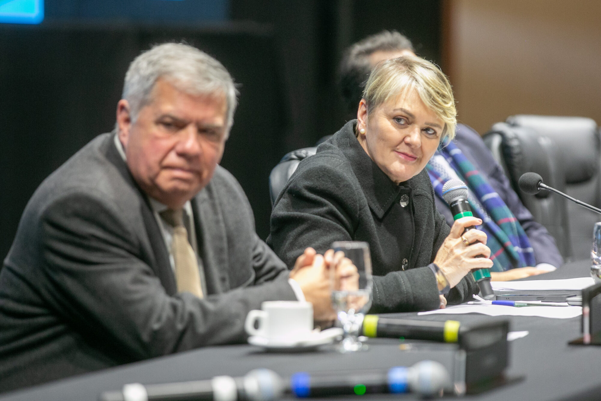 - Deputado Mário Motta (PSD)
 - Deputada Luciane Carminatti (PT)