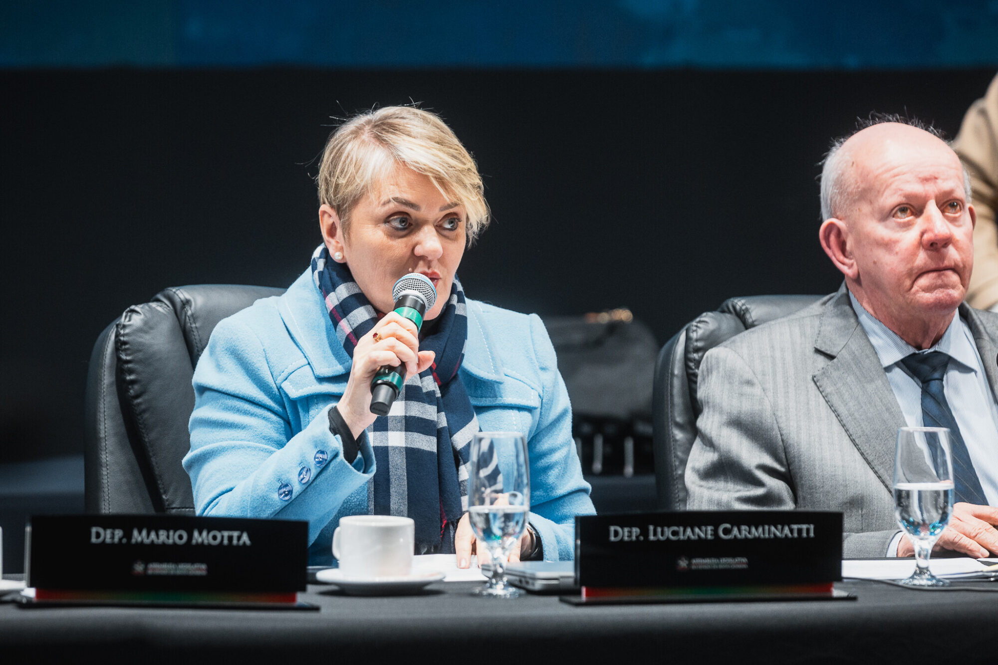 - Deputada Luciane Carminatti (PT)