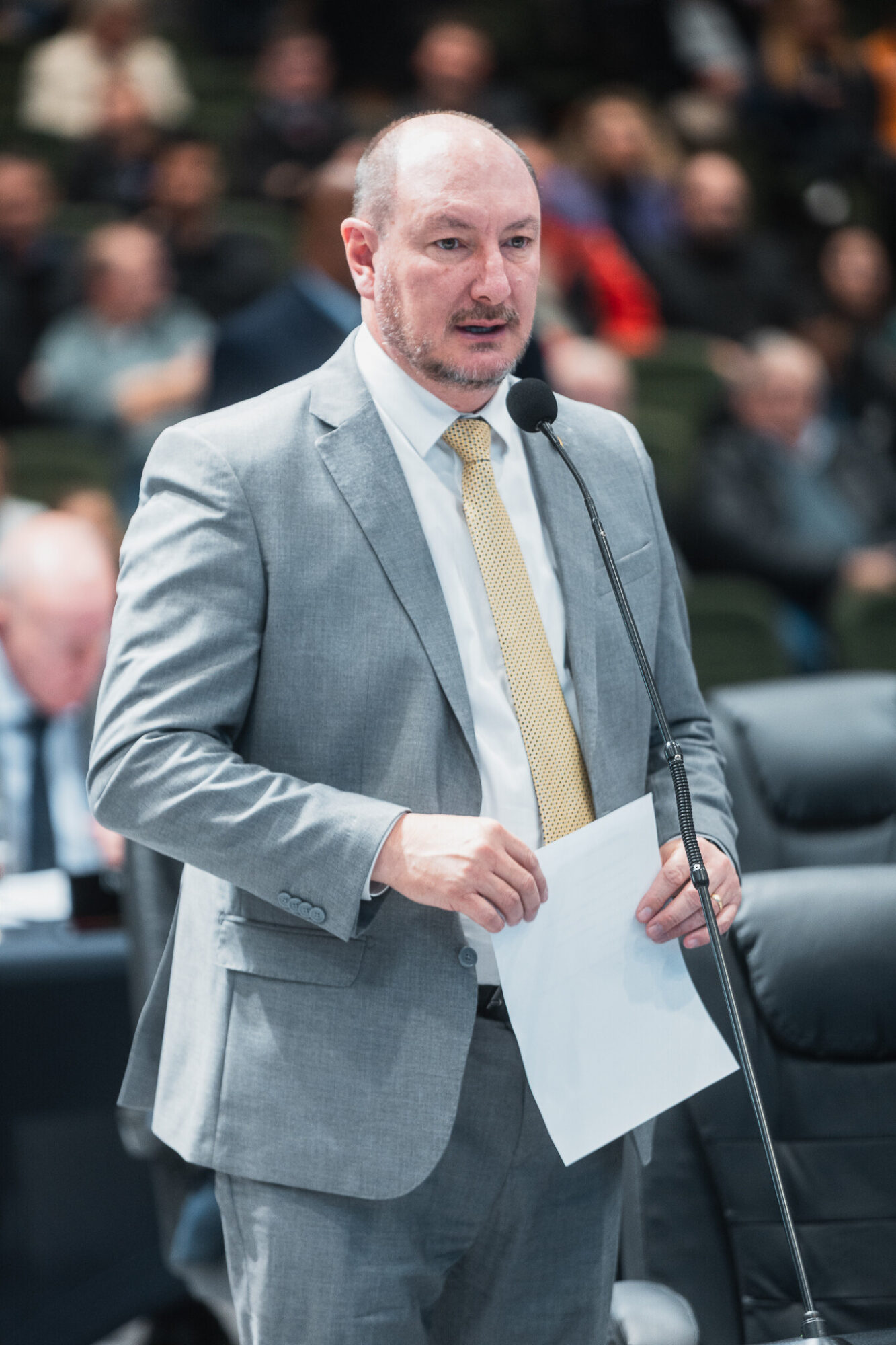 - Deputado Mauro de Nadal (MDB)