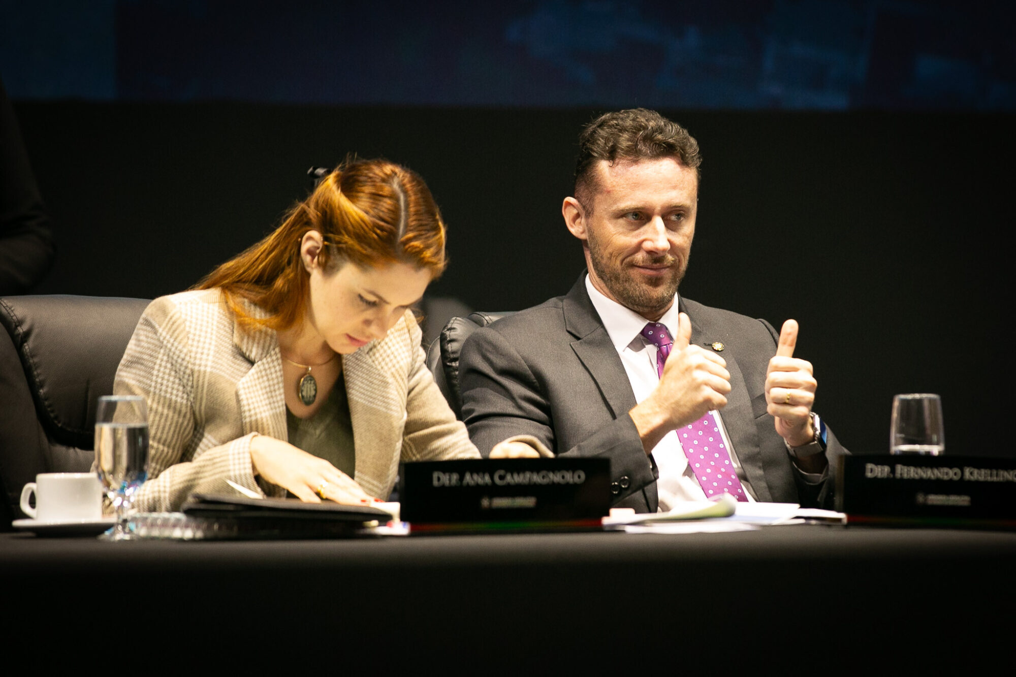 - Deputada Ana Caroline Campagnolo (PL)
- Deputado Fernando Krelling (MDB)