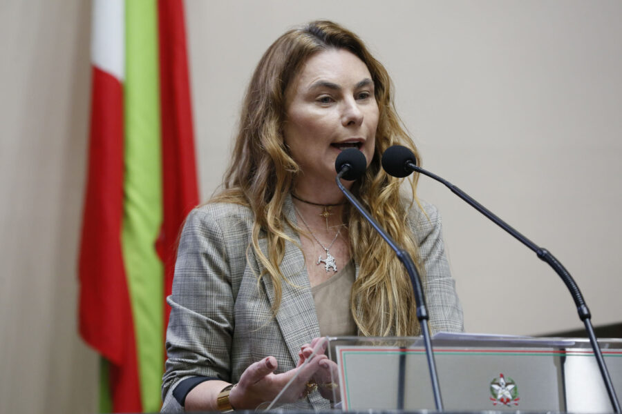 Deputada Paulinha