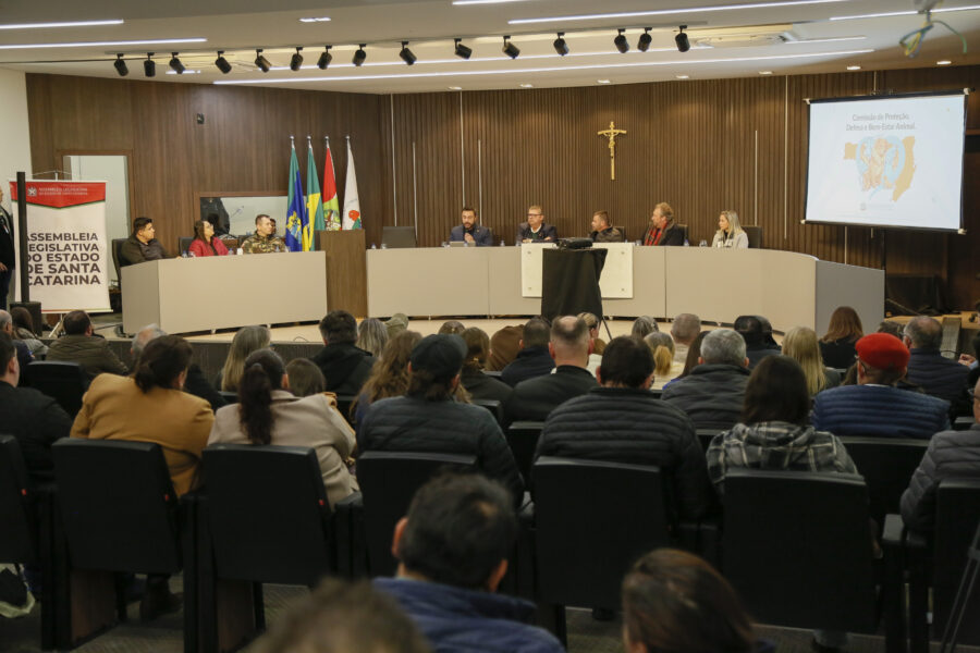 A audiência aconteceu na Câmara de Vereadores de Rio do Sul.
