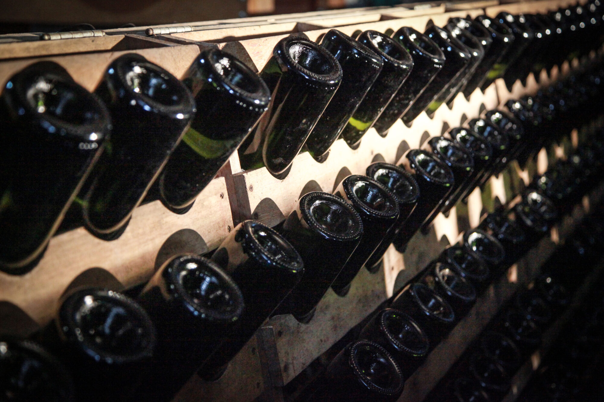 Vinicola San Michele, em Rodeio