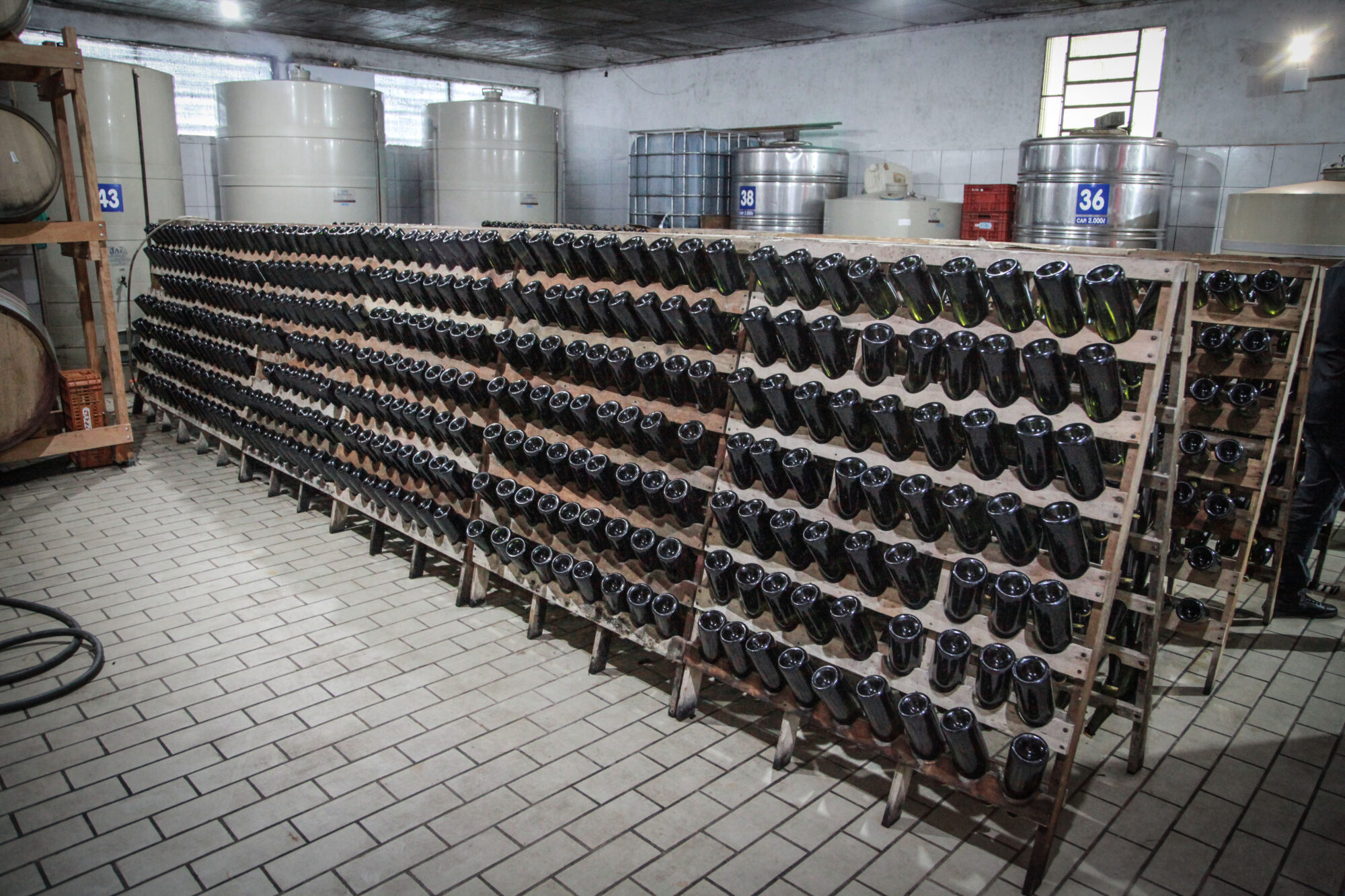 Vinicola San Michele, em Rodeio