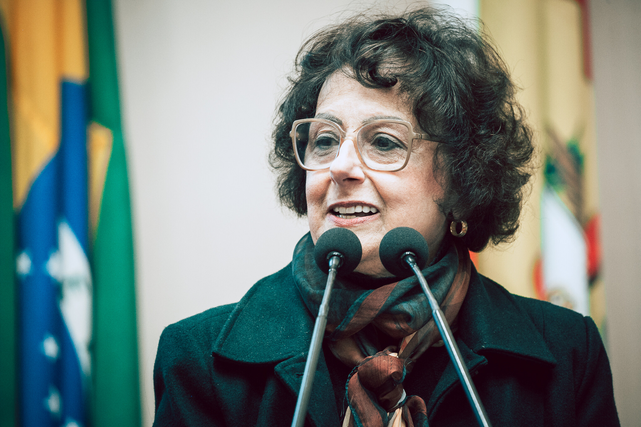 - Deputada Dirce Heiderscheidt (MDB)