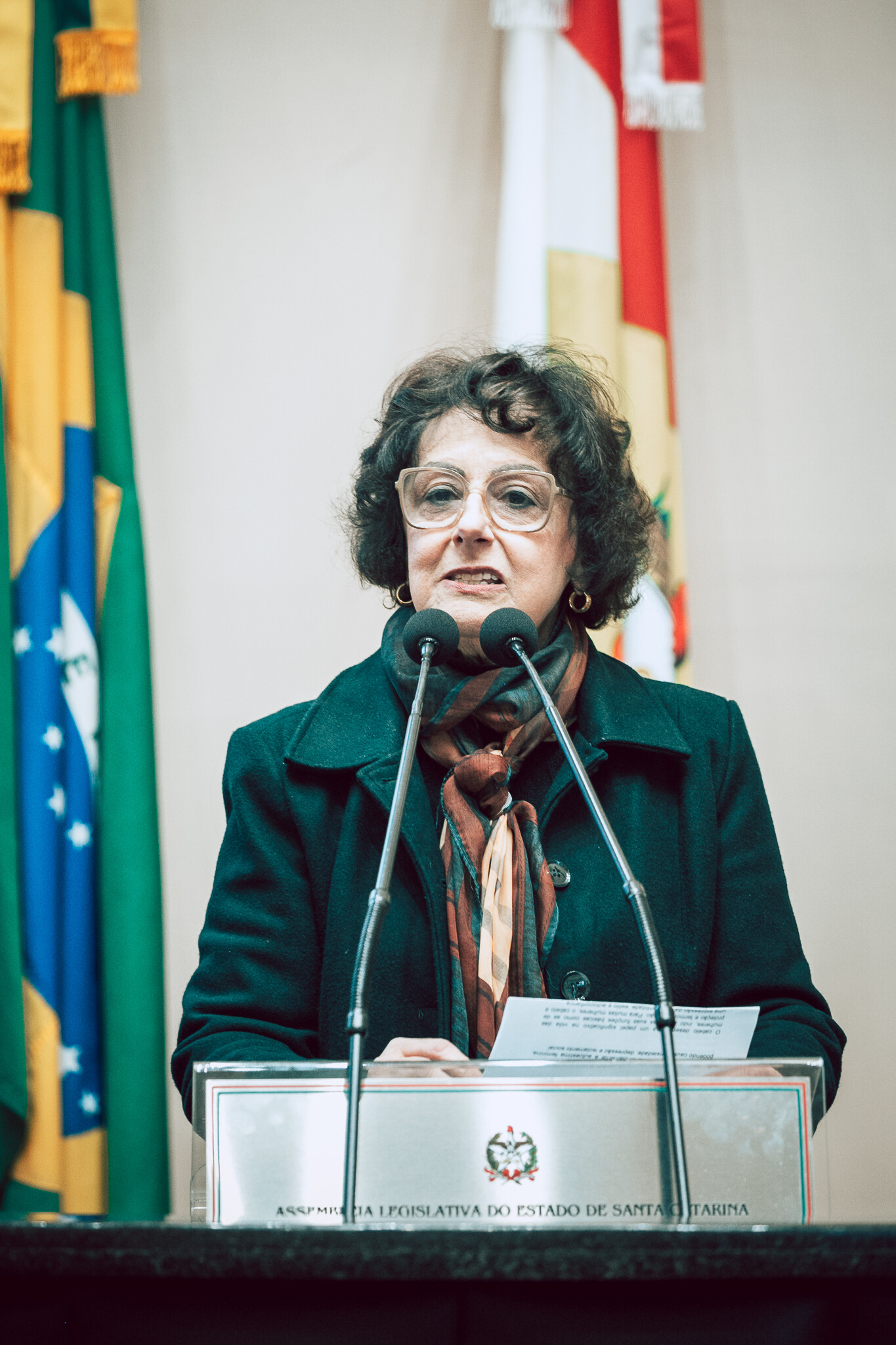 - Deputada Dirce Heiderscheidt (MDB)