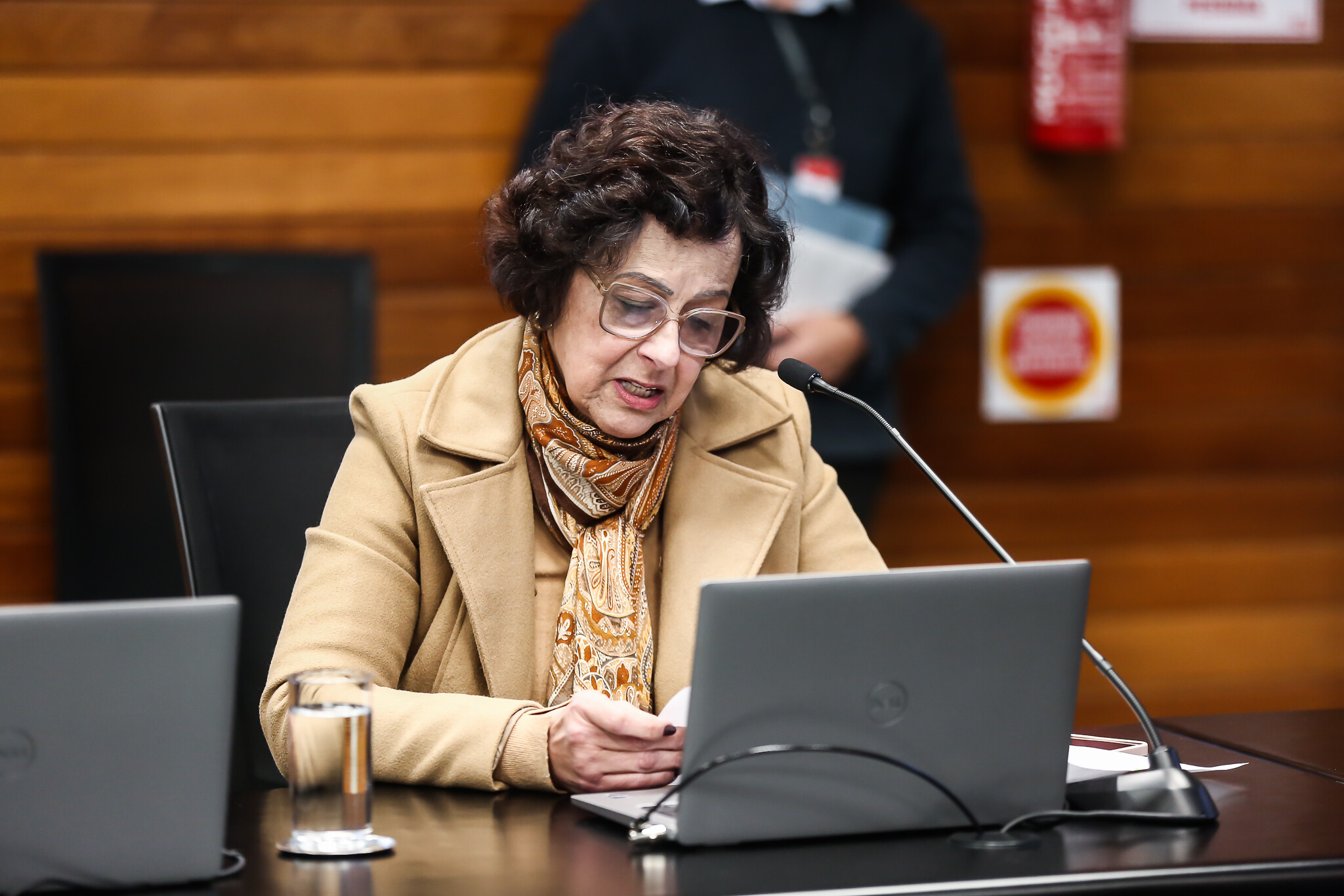 - Deputada Dirce Heiderscheidt (MDB)