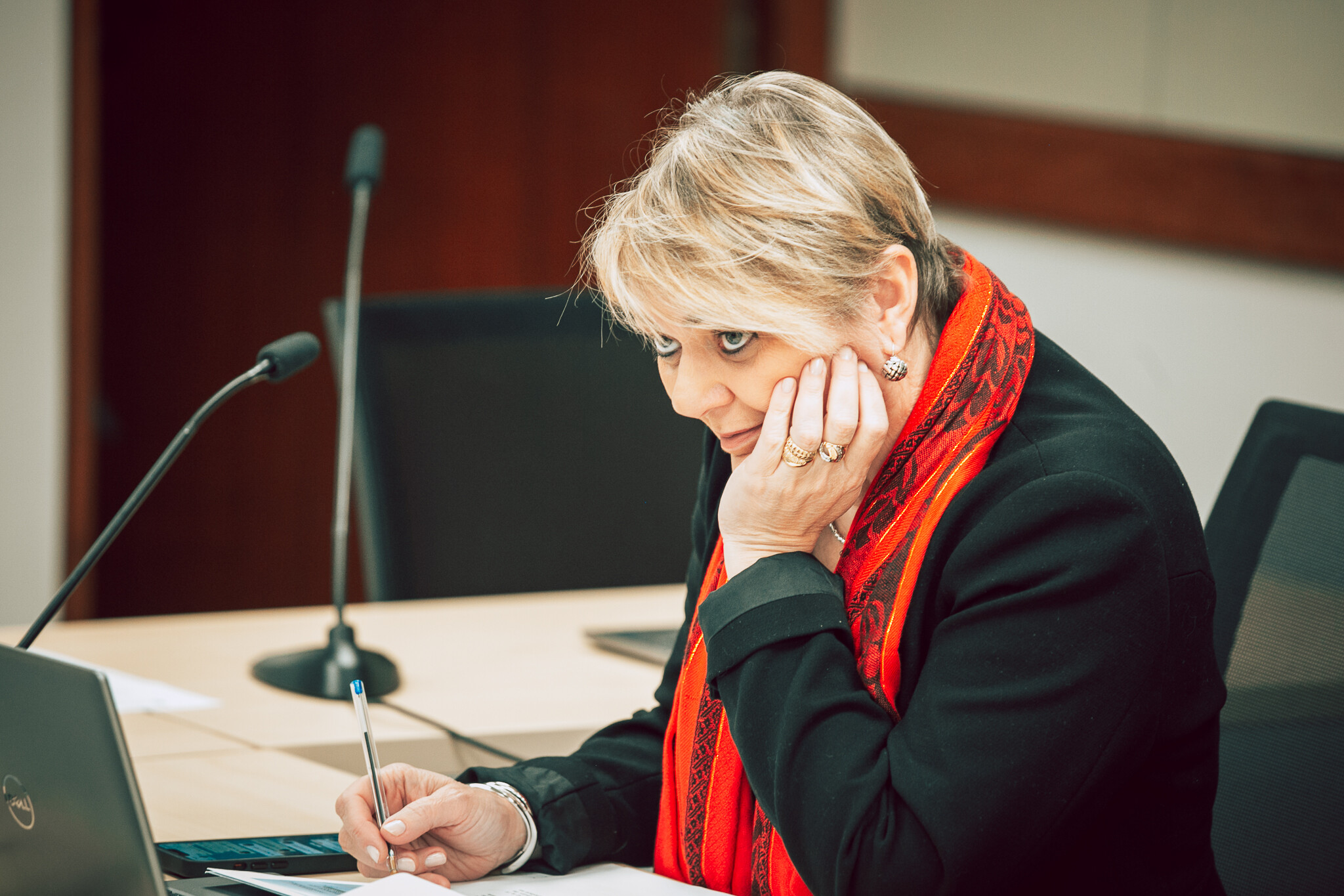 - Deputada Luciane Carminatti (PT)