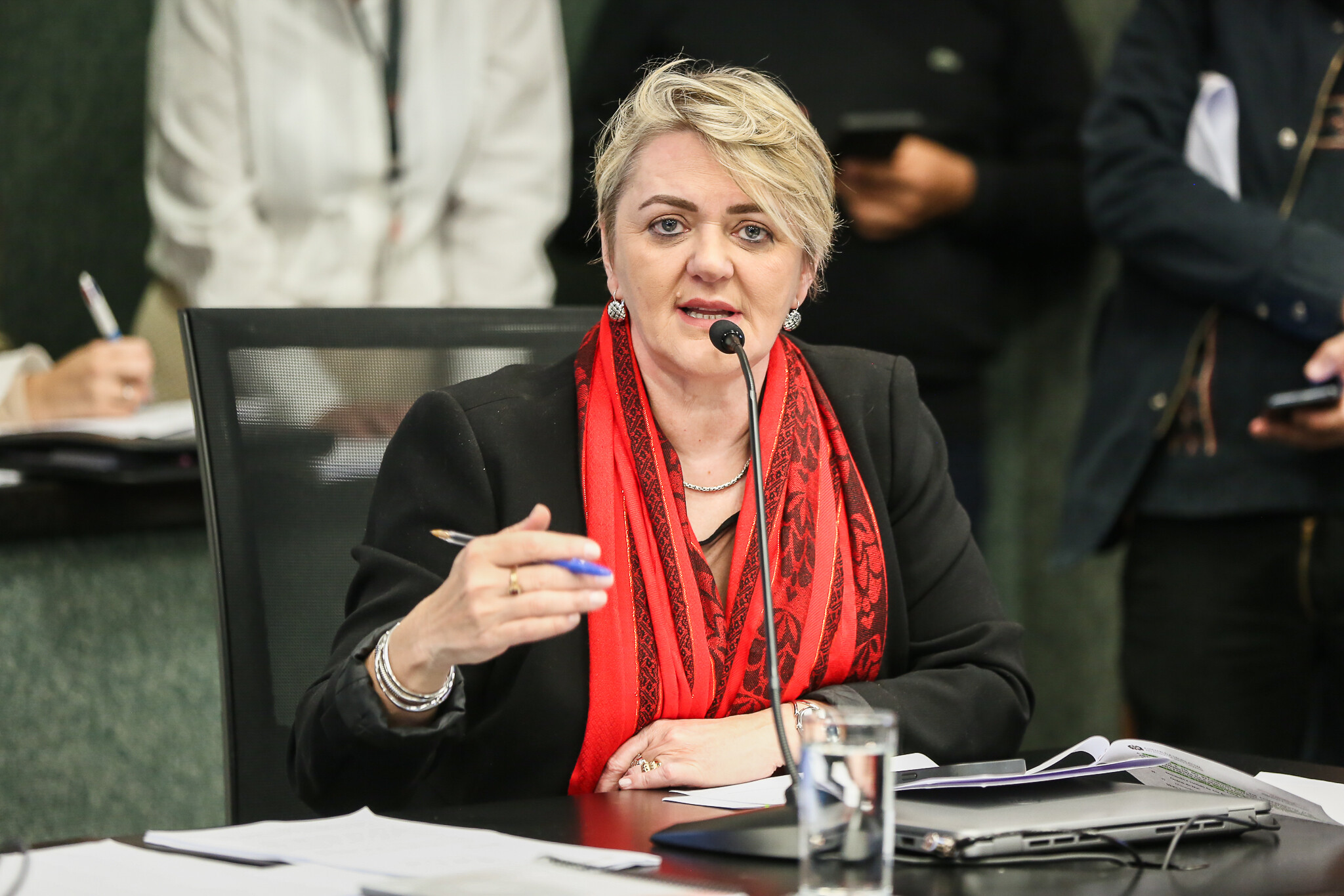 - Deputada Luciane Carminatti (PT)
