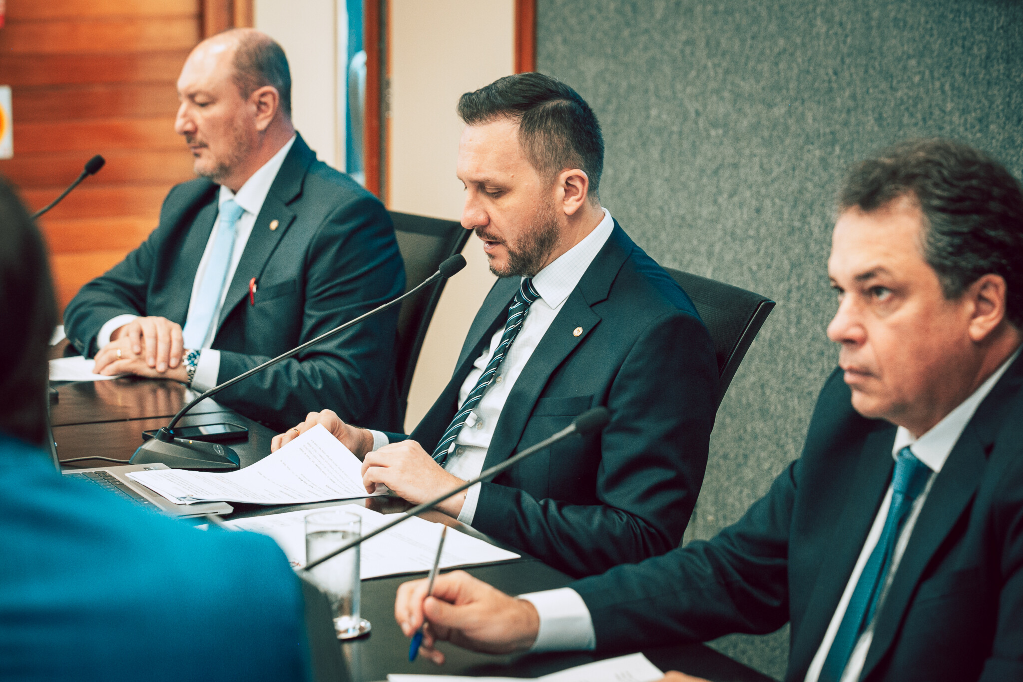 - Deputado Mauro de Nadal (MDB) 	
- Deputado Pepê Collaço (PP)
 - Deputado Rodrigo Minotto (PDT)