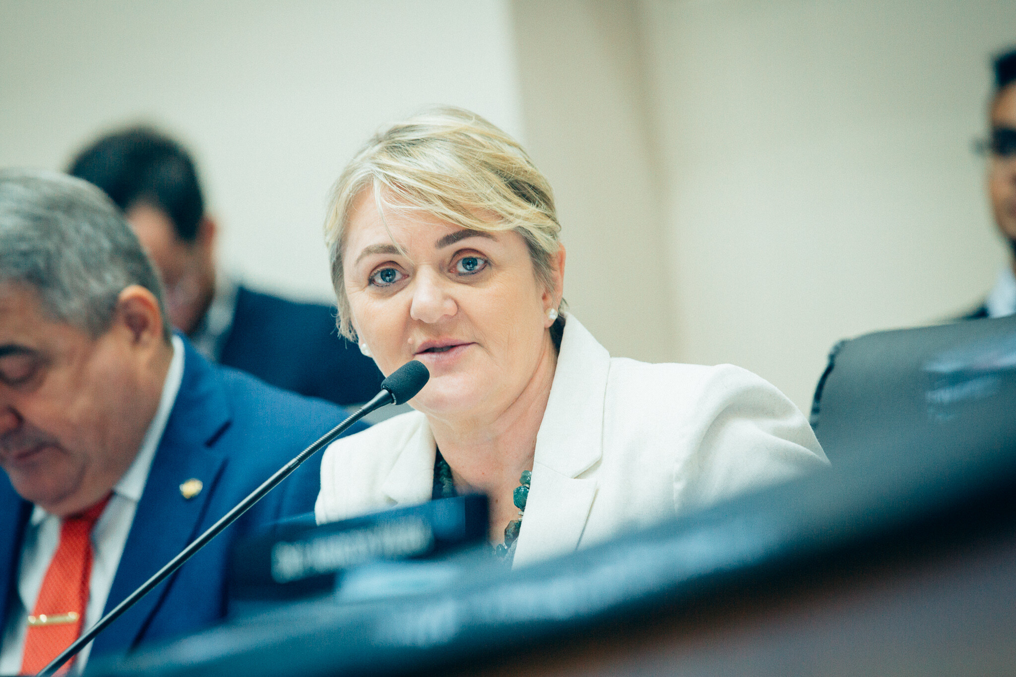 - Deputada Luciane Carminatti (PT)