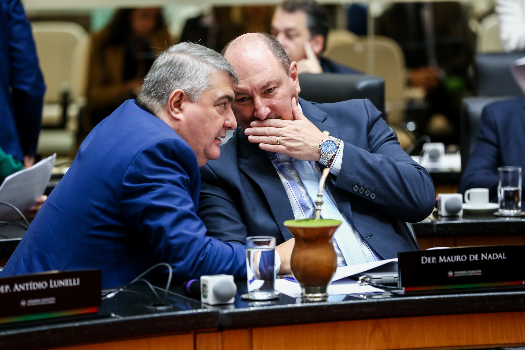 - Deputado Antídio Lunelli (MDB) 	
 - Deputado Mauro de Nadal (MDB)