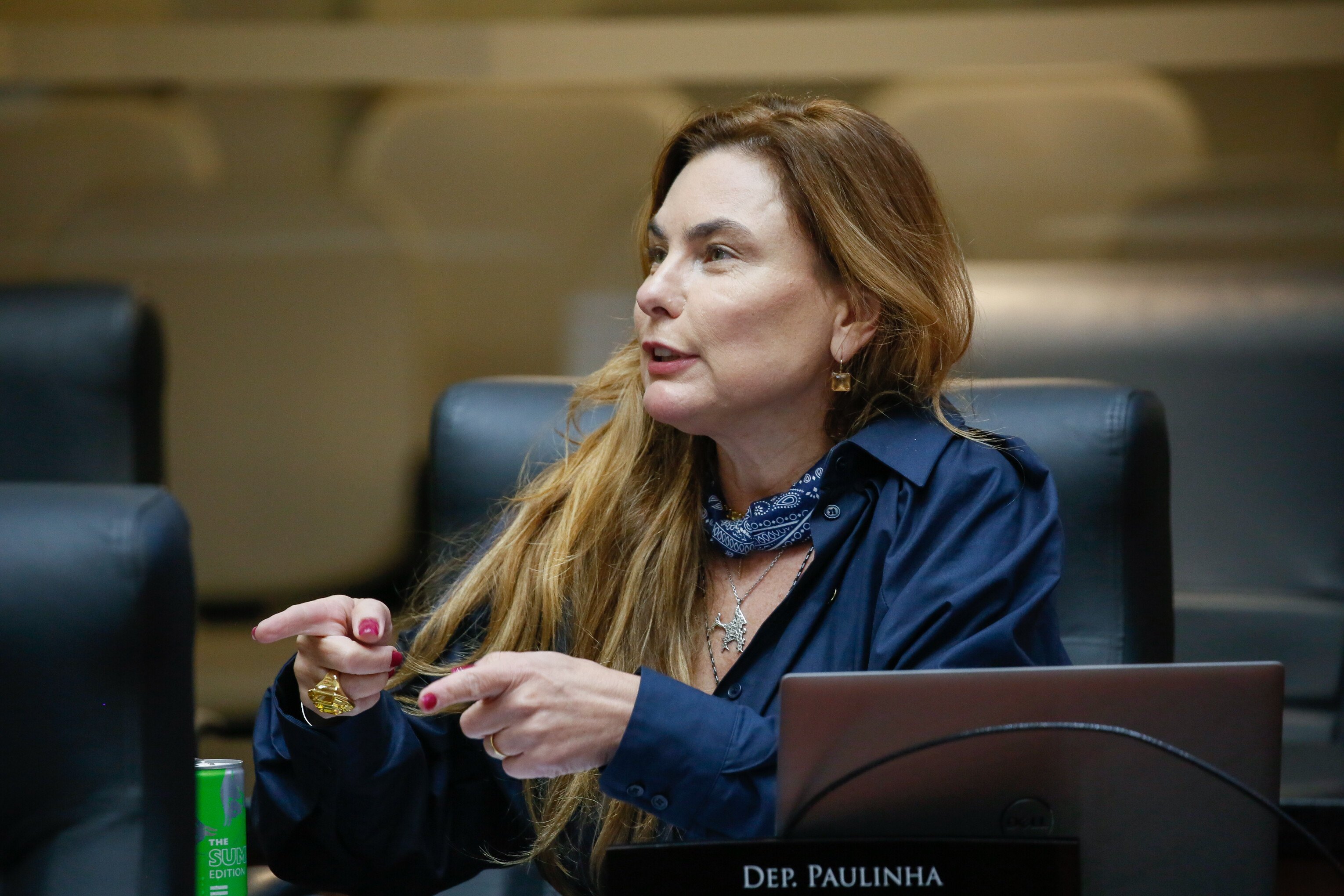 - Deputada Paulinha (Podemos)