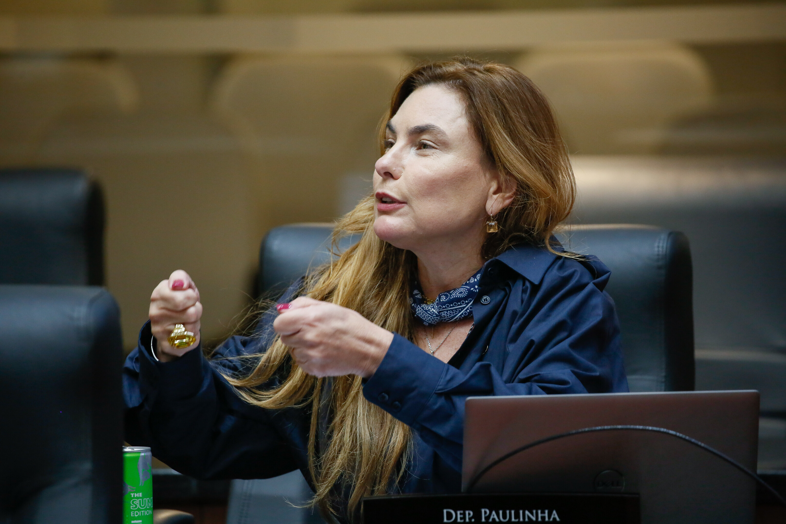 - Deputada Paulinha (Podemos)
