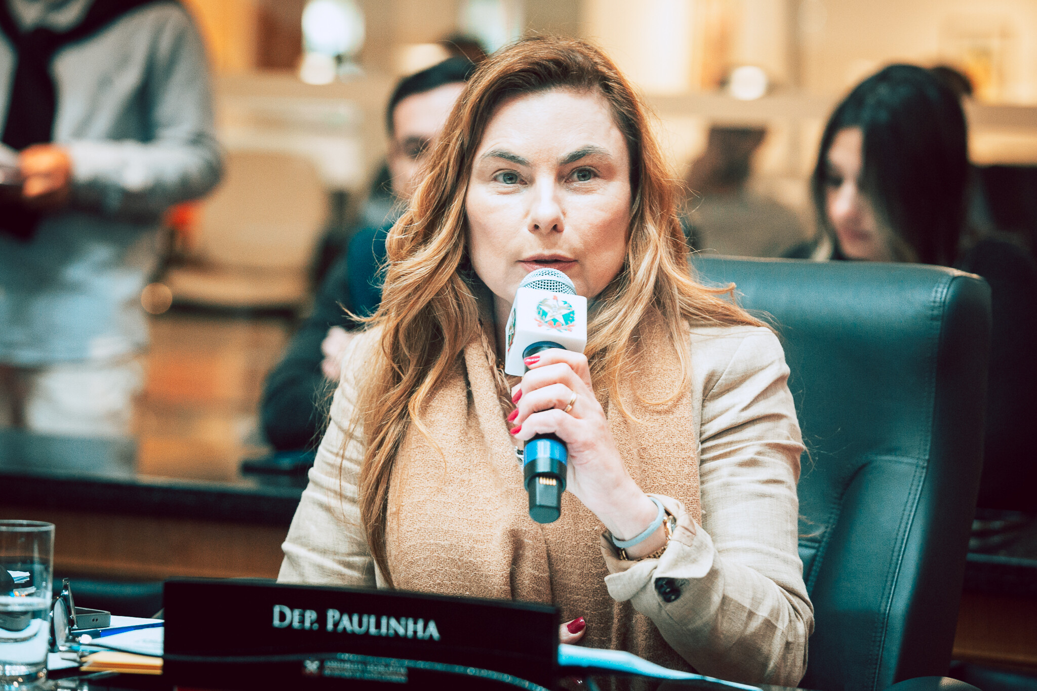 - Deputada Paulinha (Podemos)