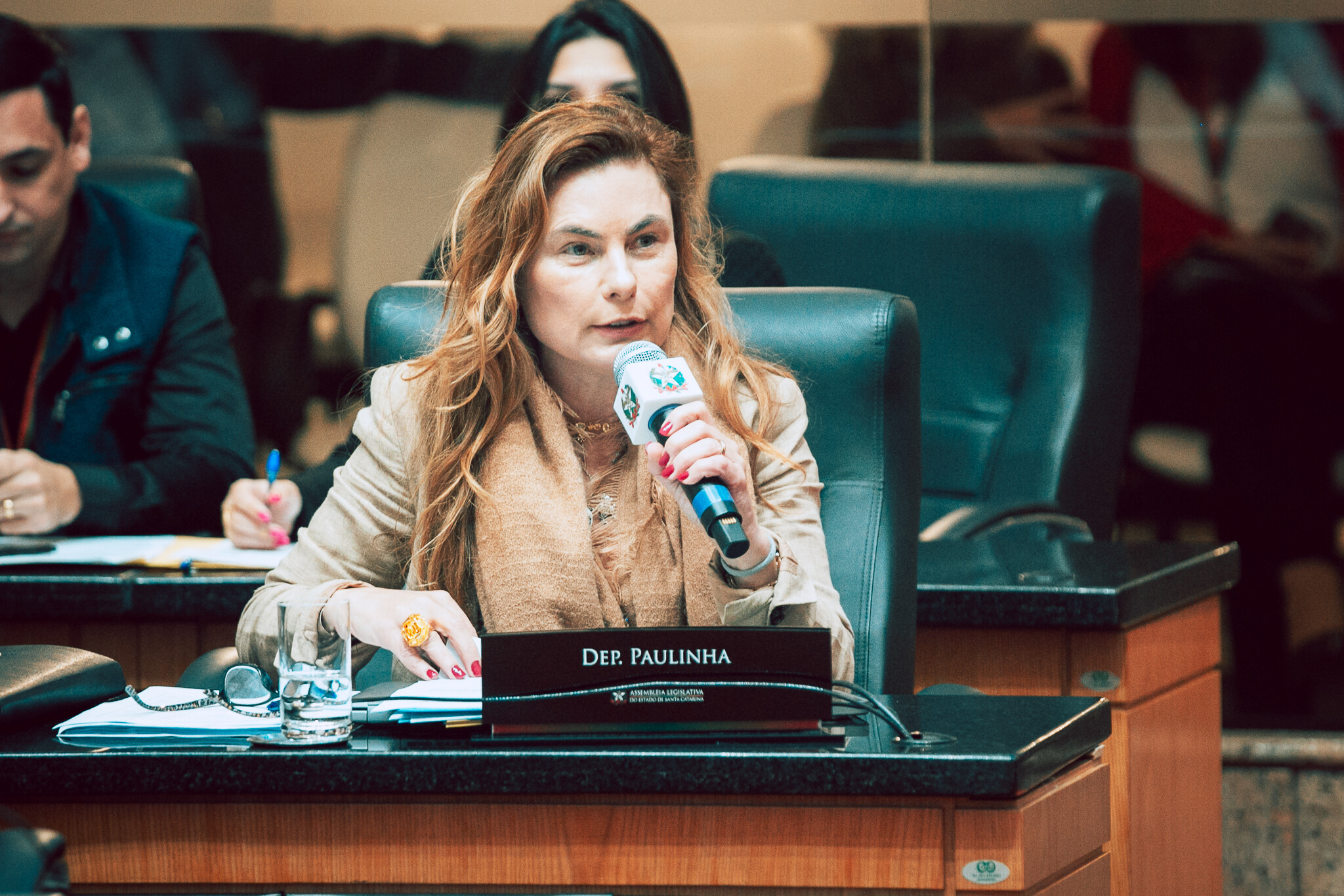 - Deputada Paulinha (Podemos)