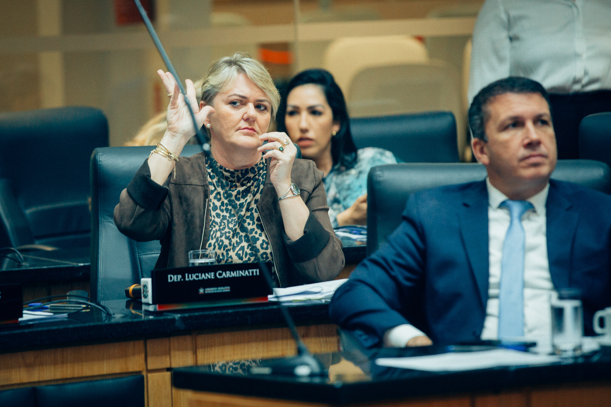 - Deputada Luciane Carminatti (PT)