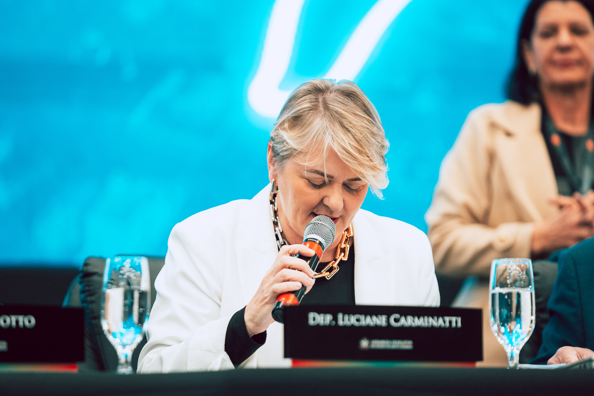 - Deputada Luciane Carminatti (PT)