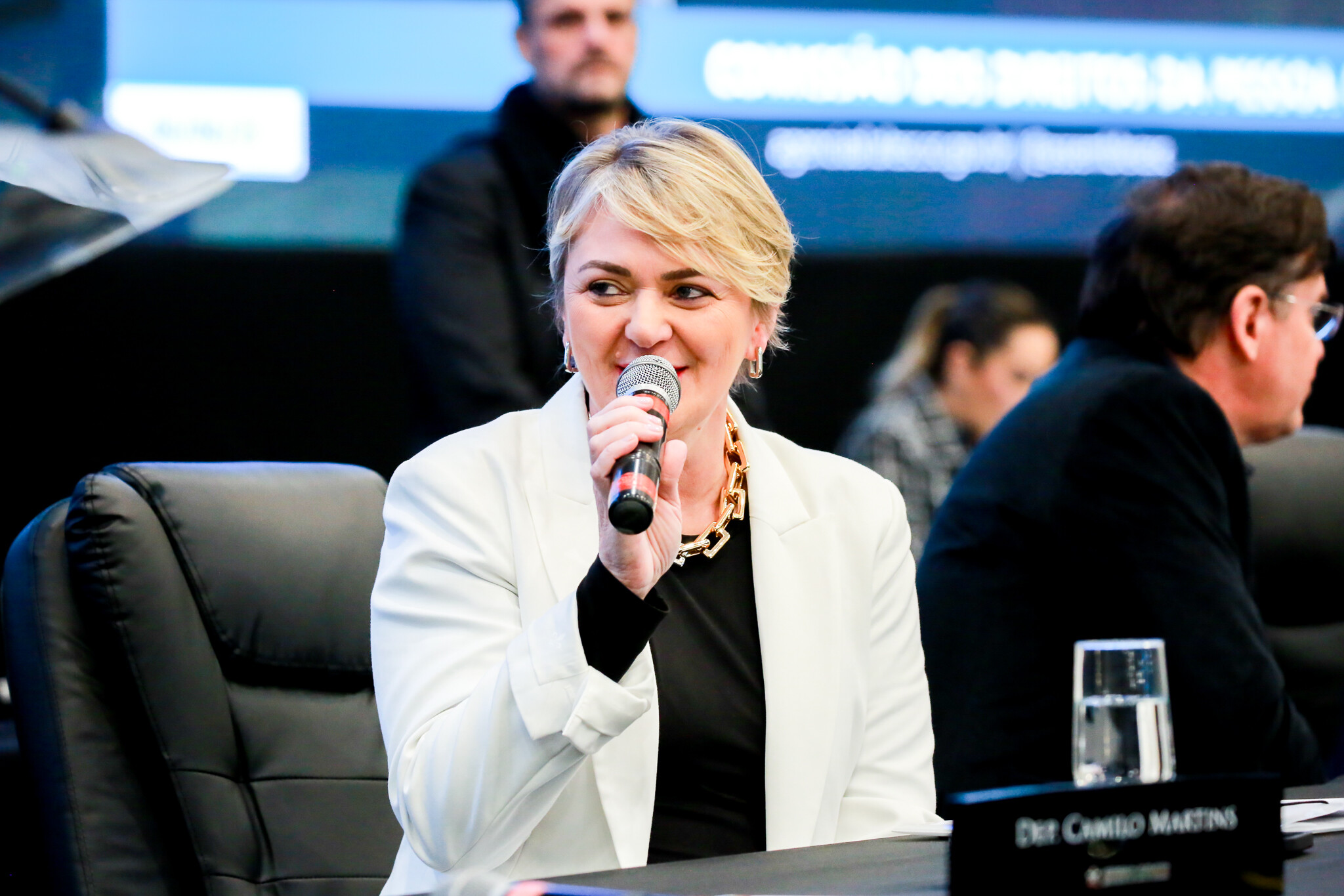 - Deputada Luciane Carminatti (PT)