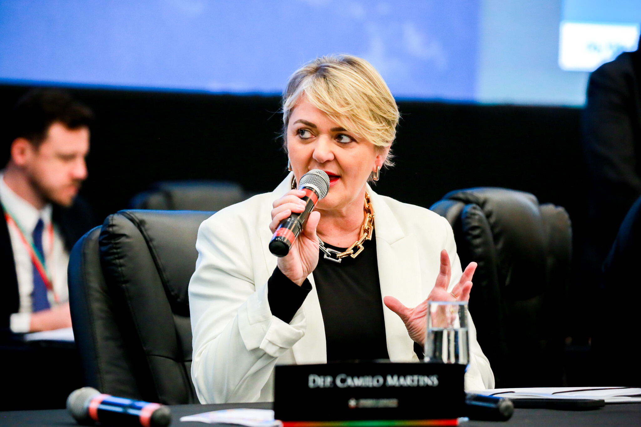 - Deputada Luciane Carminatti (PT)