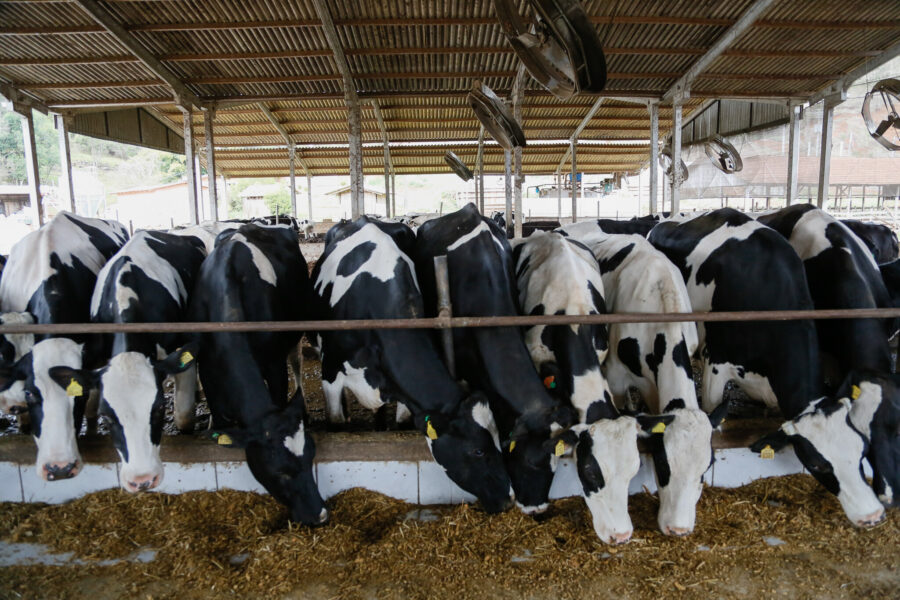 Propriedade da família Spindolla, em Água Doce