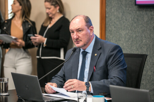 - Deputado Mauro de Nadal (MDB)