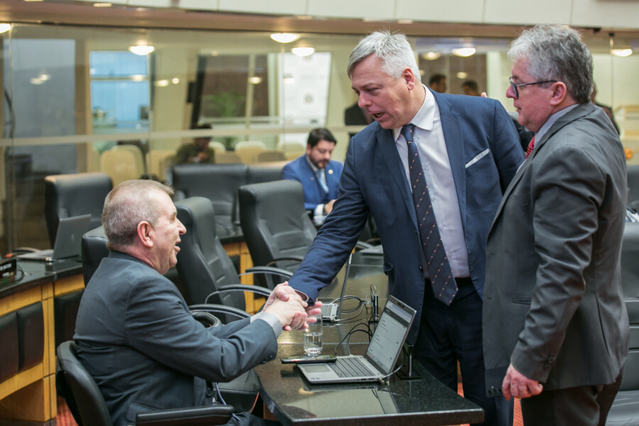 - Deputado Maurício Eskudlark (PL)  - Deputado Fabiano da Luz (PT) 	

 - Deputado Tiago Zilli (MDB)