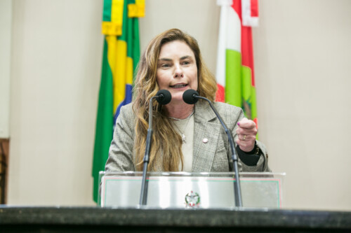 - Deputada Paulinha (Podemos)