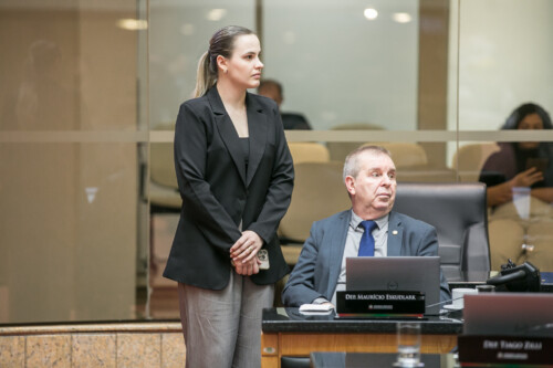 - Deputado Maurício Eskudlark (PL)