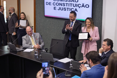 - Deputado Mauro de Nadal (MDB)-
 - Deputado Rodrigo Minotto (PDT)
