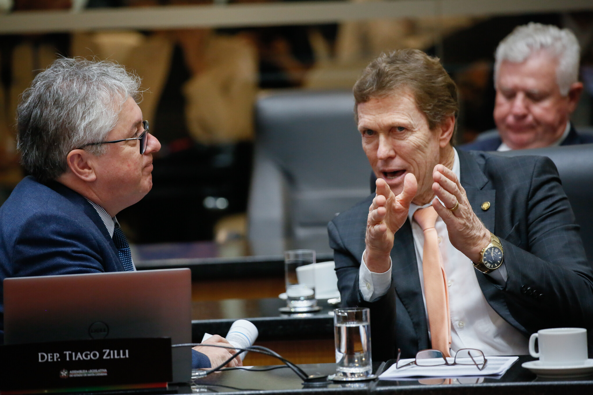 - Deputado Tiago Zilli (MDB)
 - Deputado Volnei Weber (MDB)