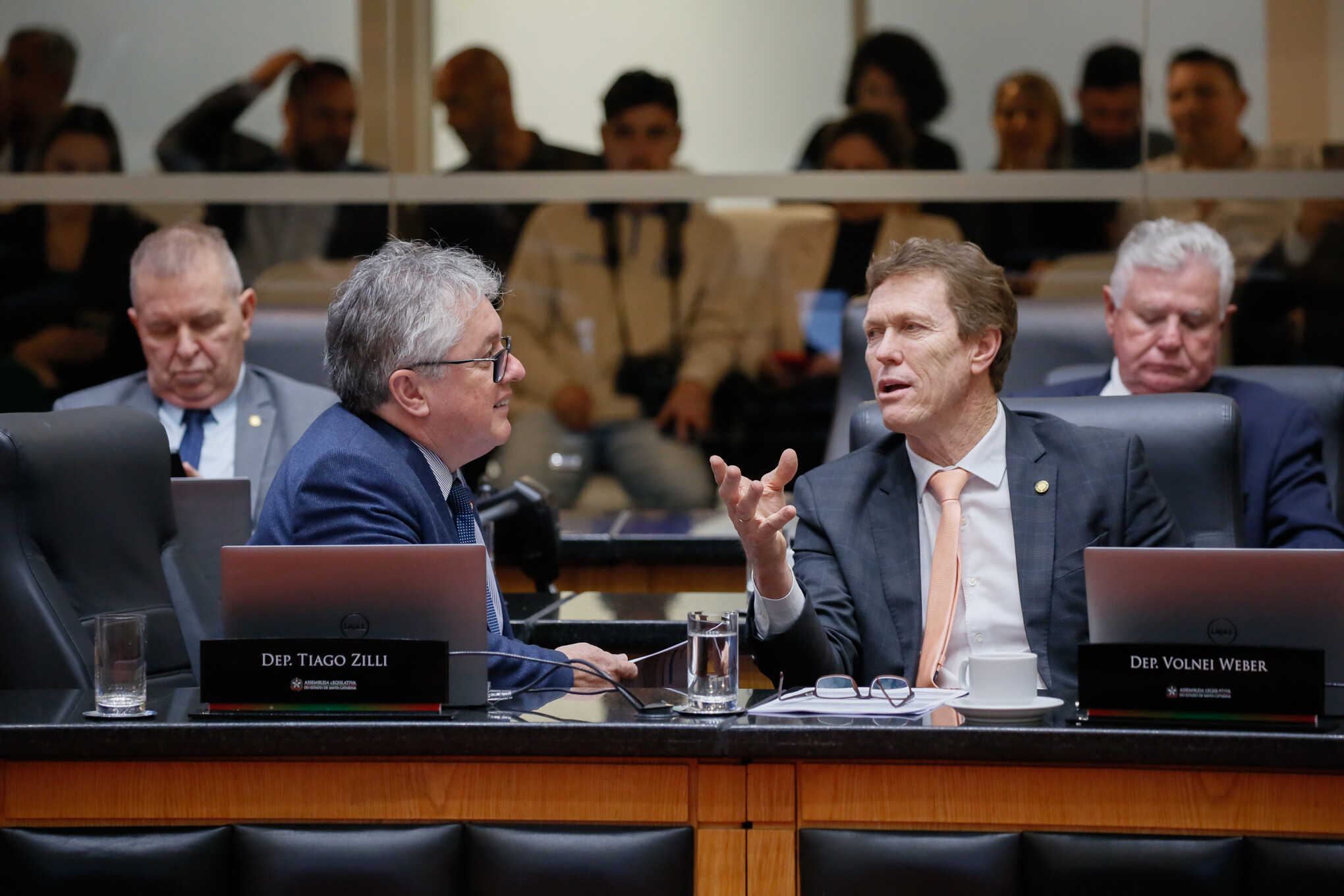 - Deputado Tiago Zilli (MDB)
- Deputado Volnei Weber (MDB)