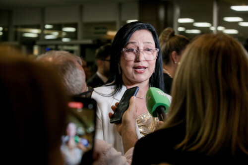 - Vânia Franco - Secretária executiva de Articulação Nacional