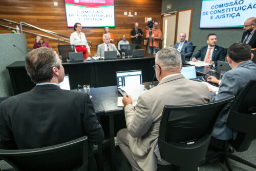 - Deputado Fabiano da Luz (PT) 	 - Deputado Mauro de Nadal (MDB) 	 - Deputado Pepê Collaço (PP)